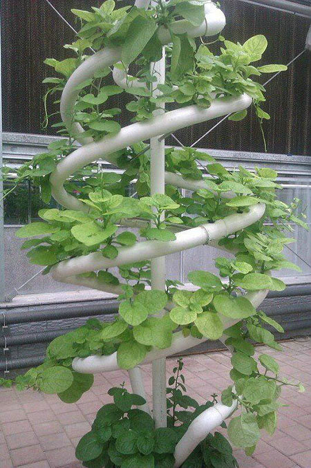 Vegetable landscape soilless cultivation system12