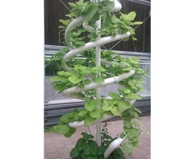 Vegetable landscape soilless cultivation system12