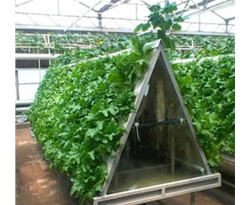 Vegetable landscape soilless cultivation system01