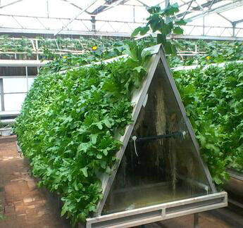Vegetable landscape soilless cultivation system01