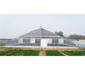 Solar greenhouse