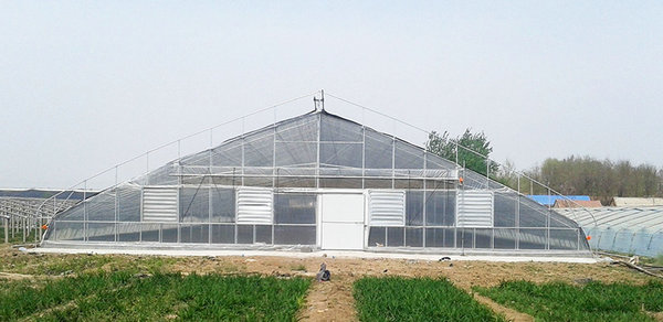 Solar greenhouse