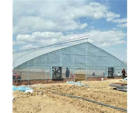 Solar greenhouse