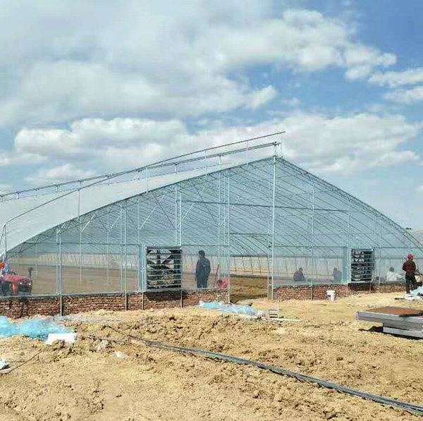 Solar greenhouse