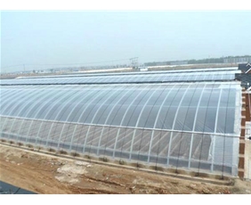 Solar greenhouse01