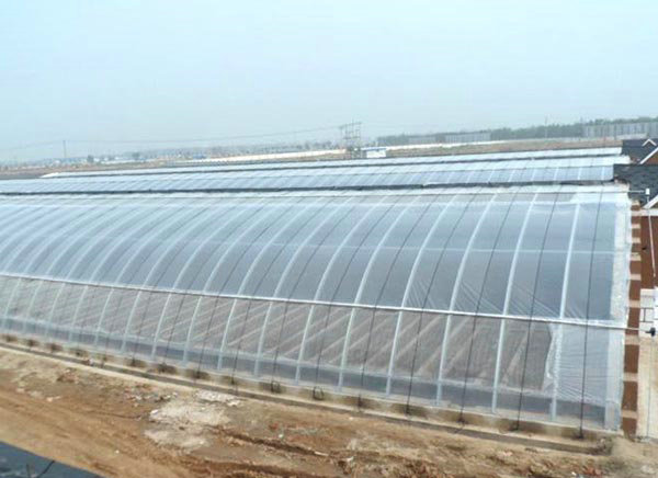 Solar greenhouse01