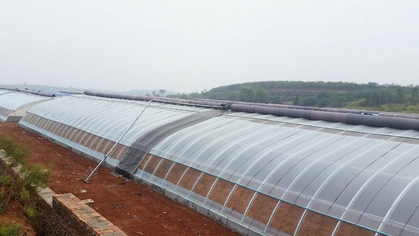 Solar greenhouse02
