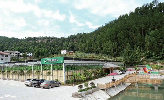 Eco restaurant04