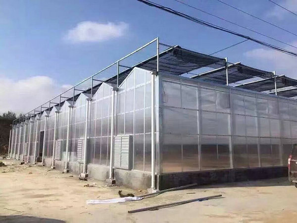 Solar panel greenhouse05