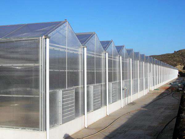 Solar panel greenhouse04