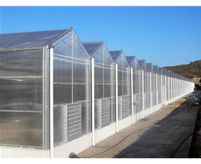Solar panel greenhouse04