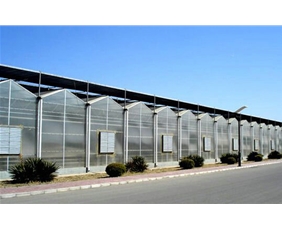 Solar panel greenhouse03