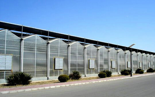 Solar panel greenhouse03