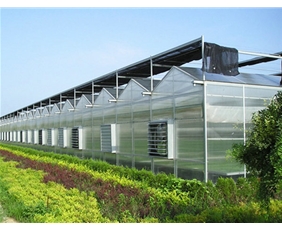 Solar panel greenhouse01