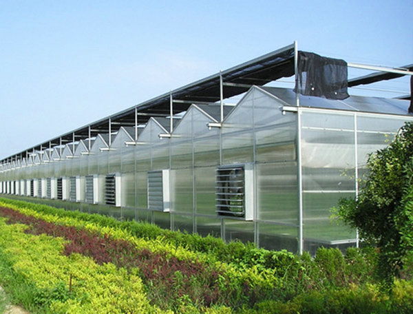Solar panel greenhouse01