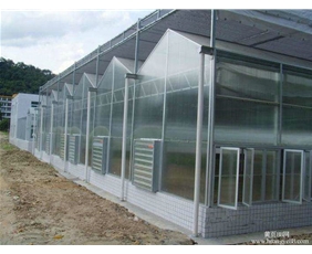 Solar panel greenhouse06