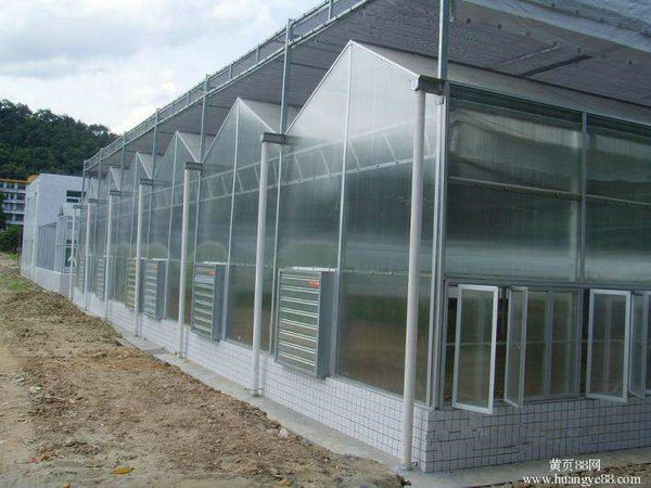 Solar panel greenhouse06