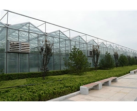 Glass greenhouse08