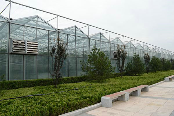 Glass greenhouse08