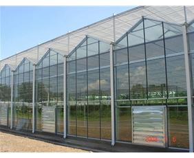 Glass greenhouse07