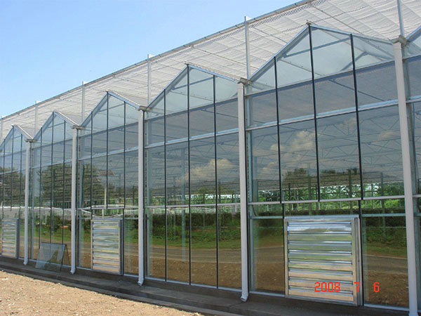 Glass greenhouse07