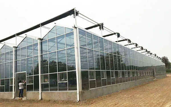 Glass greenhouse06