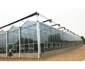 Glass greenhouse06