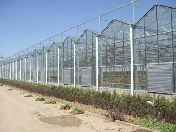 Glass greenhouse05