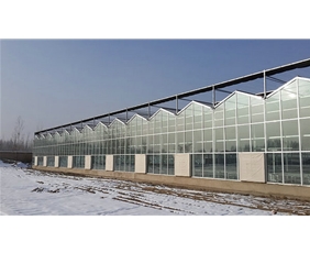 Glass greenhouse04