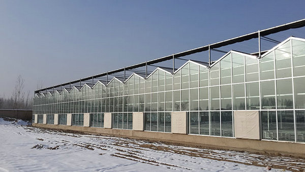 Glass greenhouse04