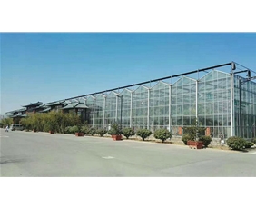 Glass greenhouse03