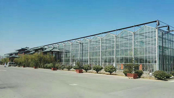 Glass greenhouse03