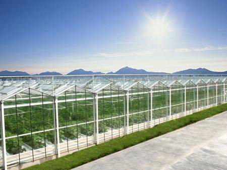 Glass greenhouse02