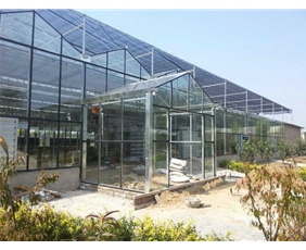 Glass greenhouse09