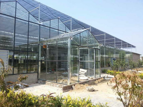 Glass greenhouse09