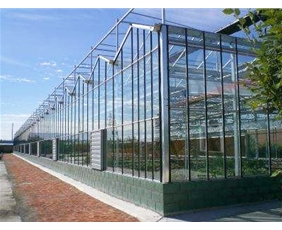 Glass greenhouse01