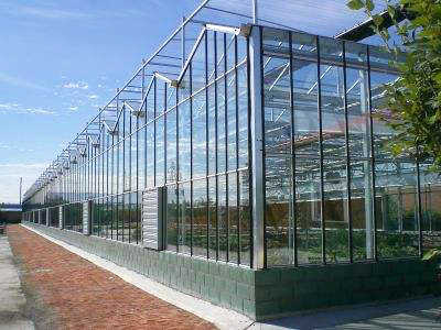 Glass greenhouse01